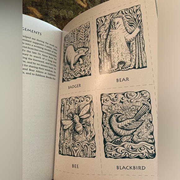 CELTIC TOTEM ANIMALS Book and Cards by John Matthews - Picture 11 of 14